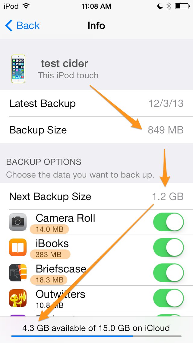 manage iCloud next backup size