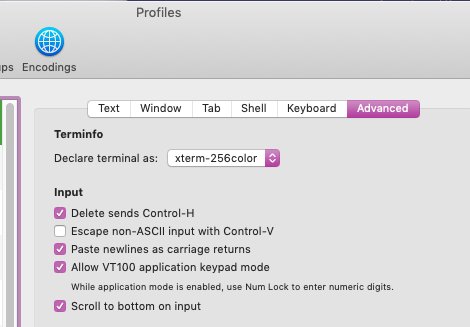 picture_of_terminal_profile_tab