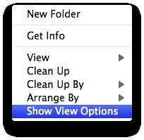 show view options