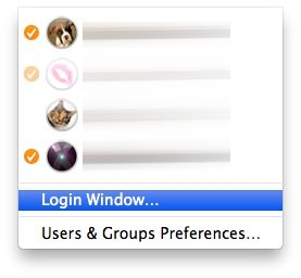 Login Window...